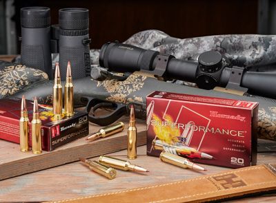 Image showing  Ammo 25-06 Rem 90 GR Cx SPF