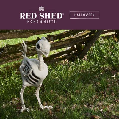 Image showing  28 in. Hen Skeleton