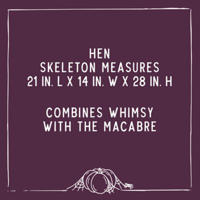 Image showing  28 in. Hen Skeleton