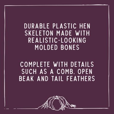 Image showing  28 in. Hen Skeleton