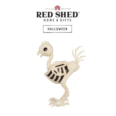 Image showing  28 in. Hen Skeleton