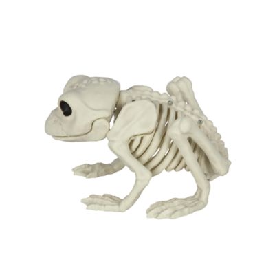 Red ShedLarge Frog Skeleton