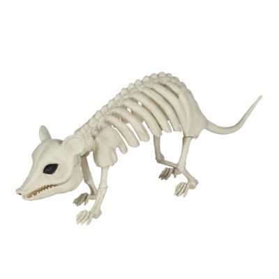 Red Shed Opossum Skeleton
