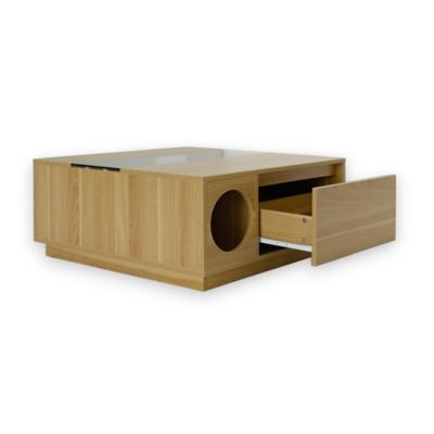 Image showing  Coco Coffee Table