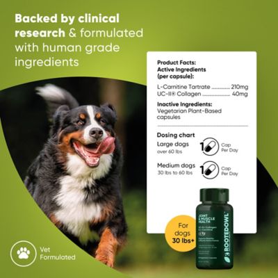 Image showing  Joint & Muscle Health for Medium & Large Dogs
