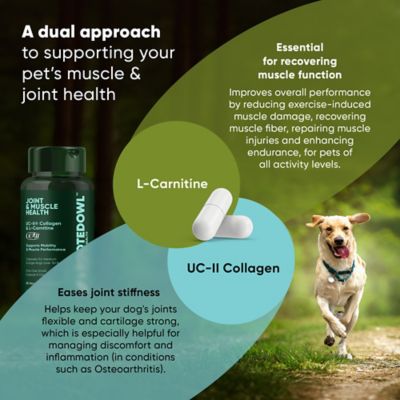 Image showing  Joint & Muscle Health for Medium & Large Dogs