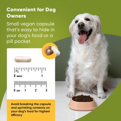 Image showing  Joint & Muscle Health for Medium & Large Dogs