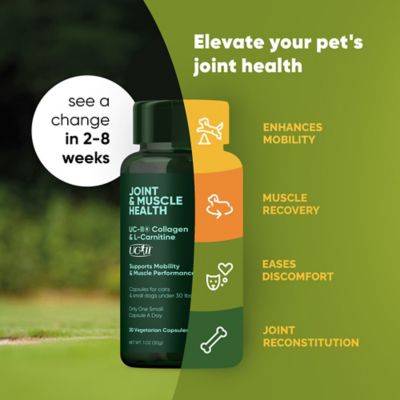 Image showing  Joint & Muscle Health for Cats & Small Dogs