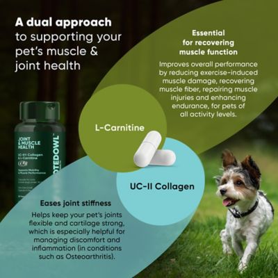 Image showing  Joint & Muscle Health for Cats & Small Dogs