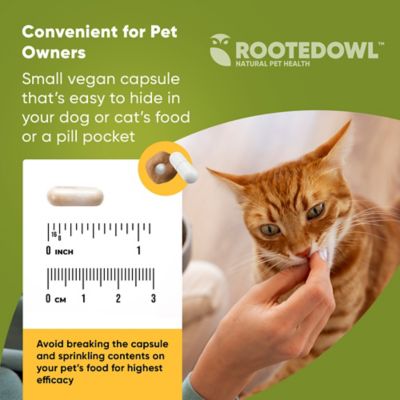 Image showing  Joint & Muscle Health for Cats & Small Dogs