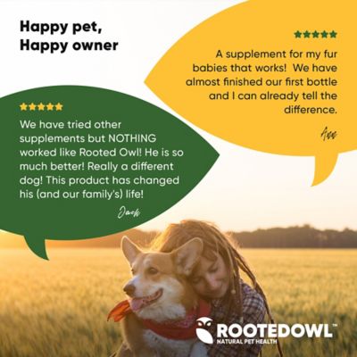 Image showing 6 th Rooted Owl Joint & Muscle Health for Cats & Small Dogs