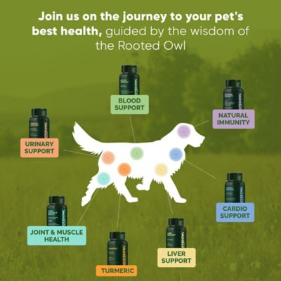 Image showing 7 th Rooted Owl Joint & Muscle Health for Cats & Small Dogs