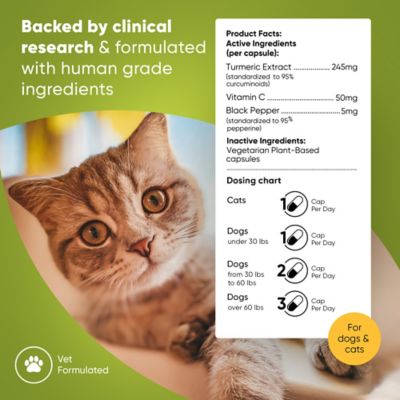 Image showing  Turmeric & Black Pepper for Cats & Dogs, 60 ct.