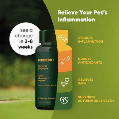 Image showing  Turmeric & Black Pepper for Cats & Dogs, 60 ct.