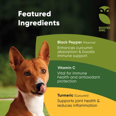 Image showing  Turmeric & Black Pepper for Cats & Dogs, 60 ct.