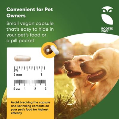 Image showing  Turmeric & Black Pepper for Cats & Dogs, 60 ct.