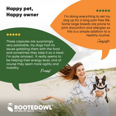 Image showing 6 th Rooted Owl Turmeric & Black Pepper for Cats & Dogs, 60 ct.