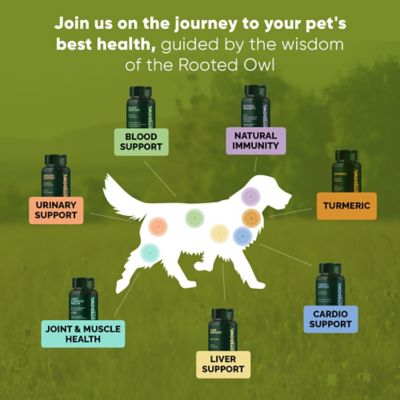 Image showing 7 th Rooted Owl Turmeric & Black Pepper for Cats & Dogs, 60 ct.