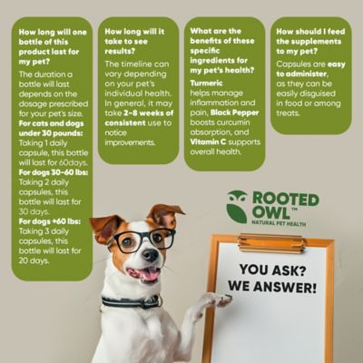 Image showing 8 th Rooted Owl Turmeric & Black Pepper for Cats & Dogs, 60 ct.