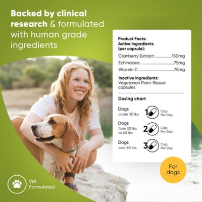 Image showing  Cranberry Vegan Urinary Support Capsules for Dogs, 60 ct.