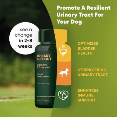 Image showing  Cranberry Vegan Urinary Support Capsules for Dogs, 60 ct.
