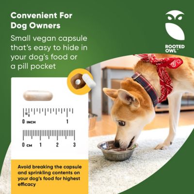 Image showing  Cranberry Vegan Urinary Support Capsules for Dogs, 60 ct.