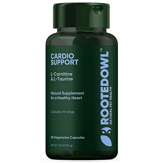 l carnitine for heart l-Carnitine and disease Rooted Owl L-Taurine & L-Carnitine