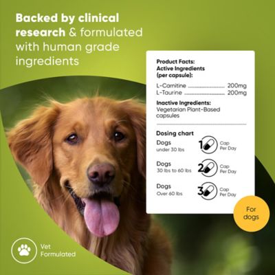Image showing  L-Taurine & L-Carnitine Cardio Support for Dogs, 60 ct.
