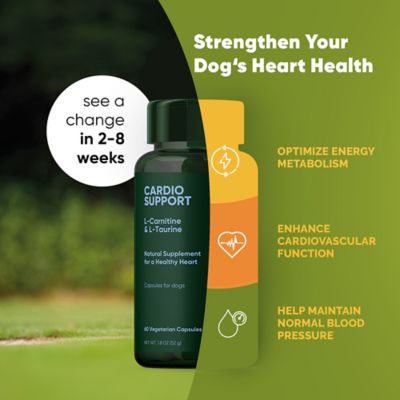 Image showing  L-Taurine & L-Carnitine Cardio Support for Dogs, 60 ct.