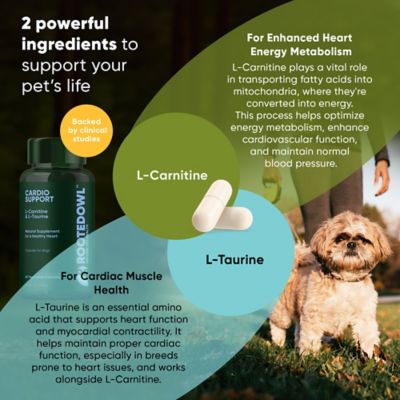 Image showing  L-Taurine & L-Carnitine Cardio Support for Dogs, 60 ct.