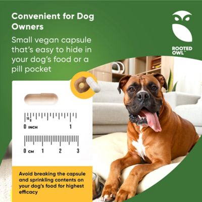 Image showing  L-Taurine & L-Carnitine Cardio Support for Dogs, 60 ct.