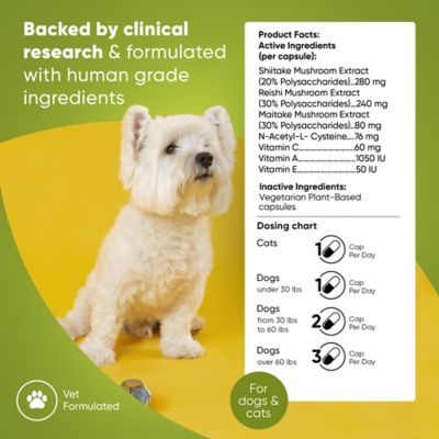 Image showing  Natural Immunity Triple Mushroom Blend for Cats & Dogs, 60 ct.