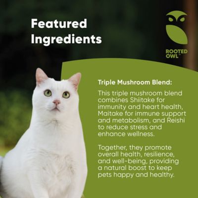 Image showing  Natural Immunity Triple Mushroom Blend for Cats & Dogs, 60 ct.
