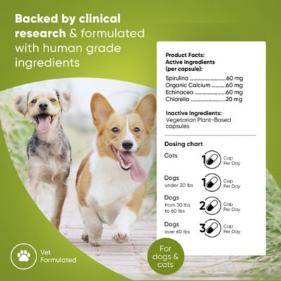 Image showing  Spirulina & Chlorella Blood Support for Cats & Dogs, 60 ct.