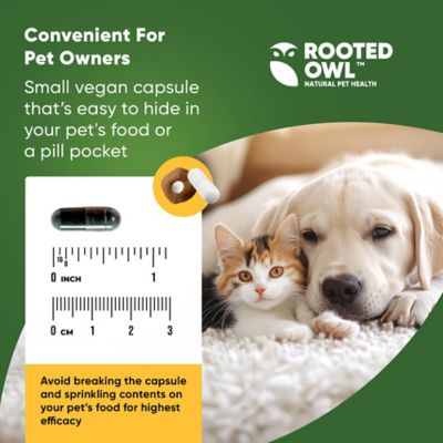 Image showing  Spirulina & Chlorella Blood Support for Cats & Dogs, 60 ct.