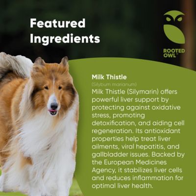 Image showing  Milk Thistle Liver Supprt for Dogs, Vegan Capsules, 60 ct.