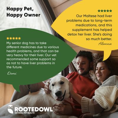 Image showing 6 th Rooted Owl Milk Thistle Liver Supprt for Dogs, Vegan Capsules, 60 ct.