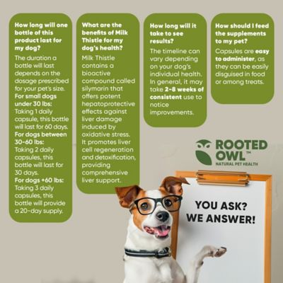 Image showing 8 th Rooted Owl Milk Thistle Liver Supprt for Dogs, Vegan Capsules, 60 ct.