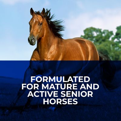 Image showing 6 th Kent Blue Seal Inspire Senior Horse Feed