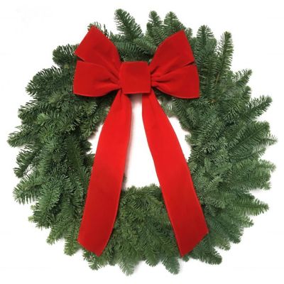 National Plant Network 22 in. Noble Fir with Bow Wreath