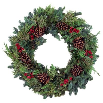 National Plant Network 22 in. Canella Multi-Cone Artificial Wreath with Red Berries and Natural Cones