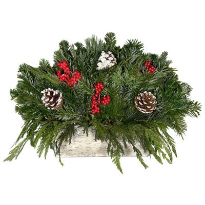 National Plant Network DIY Birch Log Kit