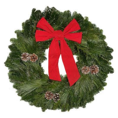 National Plant Network DIY Wreath Kit