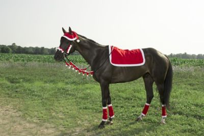 Tough1 5 pc. Santa English Set