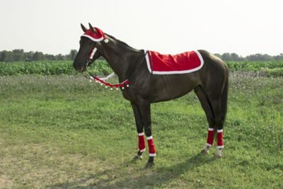 Tough1 5 pc. Santa Western Set