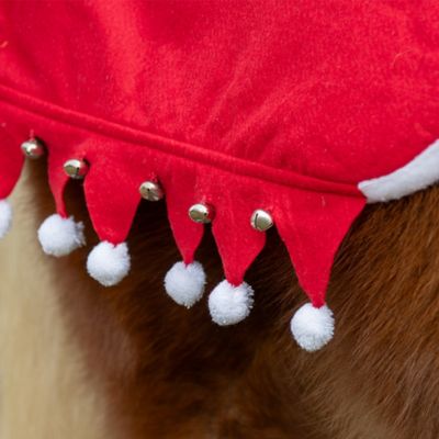 Image showing  5 pc. Santa Harness Set