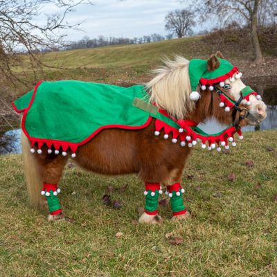 Image showing  5 pc. Elf Sheet Set