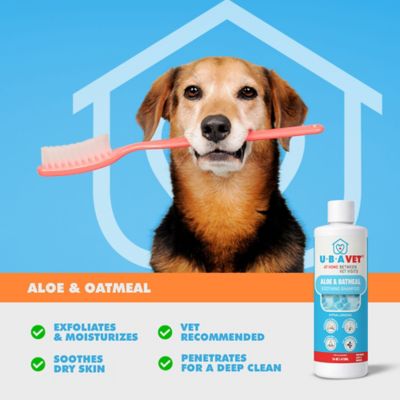 Image showing  Aloe & Oatmeal Conditioner for Dogs