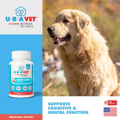 Image showing  Cognadin Memory & Brain Support for Dogs