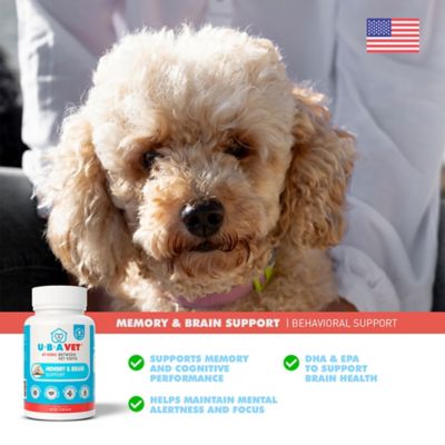 Image showing  Cognadin Memory & Brain Support for Dogs